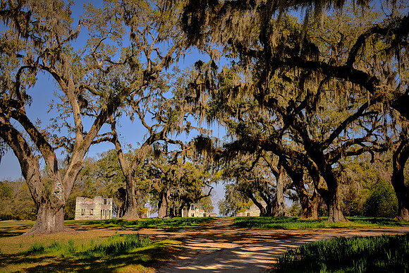 Plantation House, Spring Island, SC