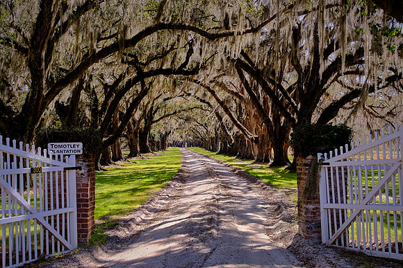 Tomotley Plantation, Beaufort, SC
