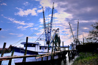 2017 March - Spring Island & Beaufort, SC