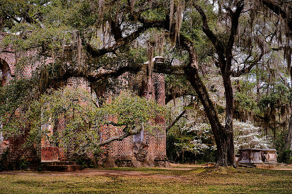 Old Sheldon Church, Beaufort, SC
