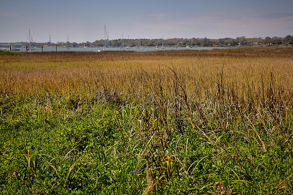 Beaufort, SC