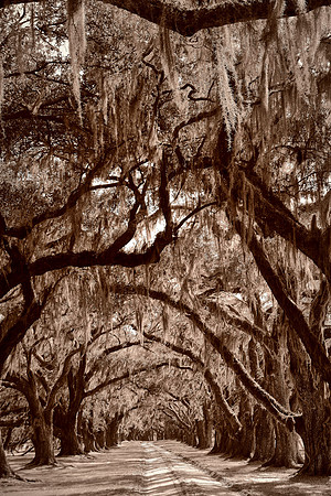 Tomotley Plantation, Beaufort, SC