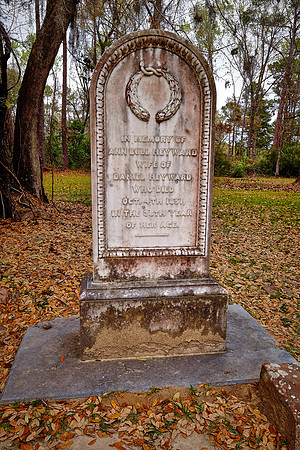 Old Sheldon Church, Beaufort, SC