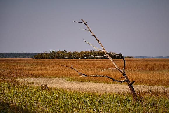 Spring Island, SC