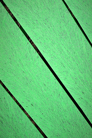 On and around Lake Vermilion, Minnesota