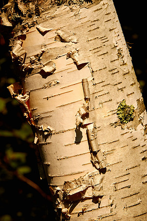 On and around Lake Vermilion, Minnesota