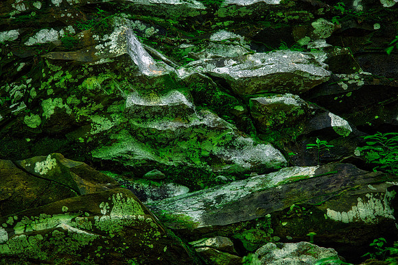 Falls of Hills Creek Scenic Area, WV