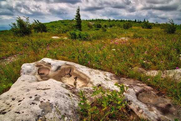 Dolly Sods Wilderness Area, Davis , WV