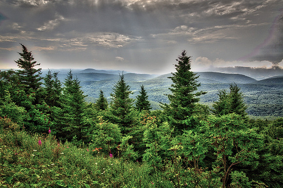 Spruce Knob, highest point in West Virginia: 4836 feet.