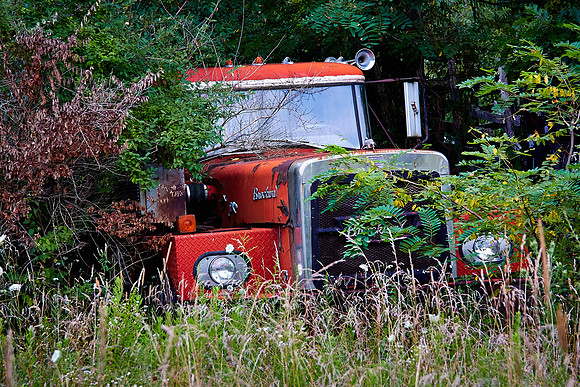 On the road to Seneca Rocks, WV
