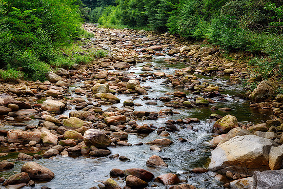 Dolly Sods Wilderness Area, Davis , WV