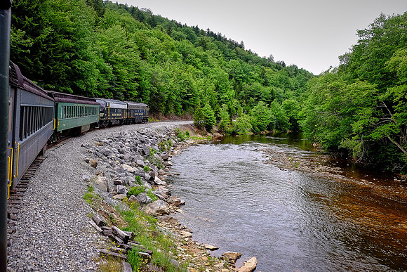 Cheat Mountain Salamander along the Cheat River