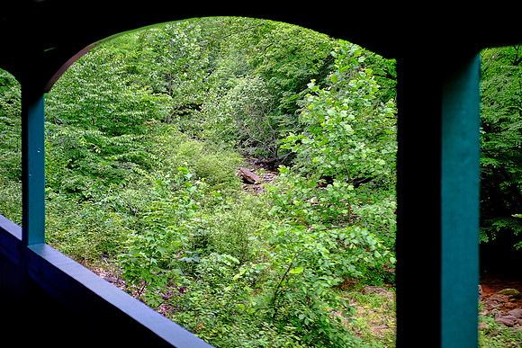 Shay No. 2, Cass Scenic Railroad, Cass, West Virginia