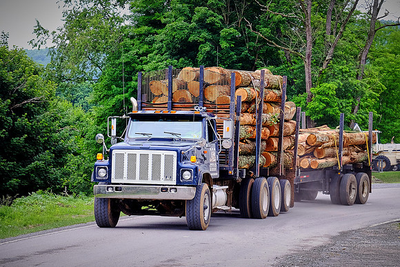 Log truck today, Cass, West Virginia