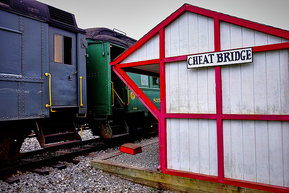 Cheat Mountain Salamander arrives at Cheat Brigde