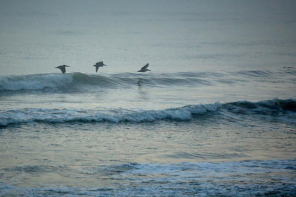 Sunrise, Atlantic coast, Palm Coast, FL