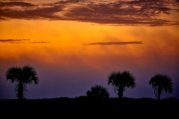 Sunrise, Atlantic coast, Palm Coast, FL