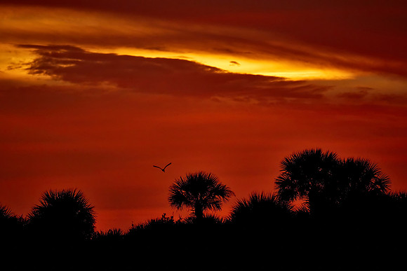 Sunset over the Matanzas River,  Crescent Beach, FL