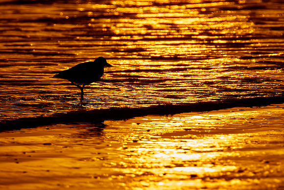 Sunrise, Fort Matanzas National Monument, Atlantic coast, FL