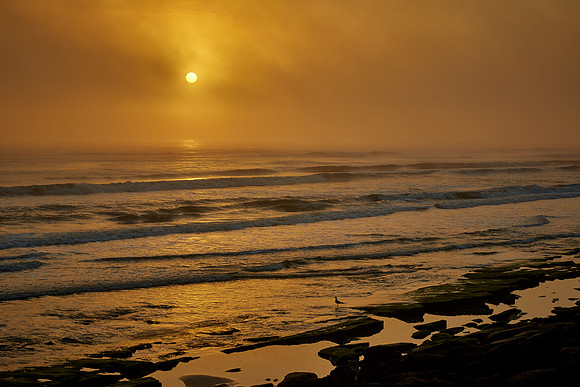 Sunrise, Atlantic coast, Palm Coast, FL