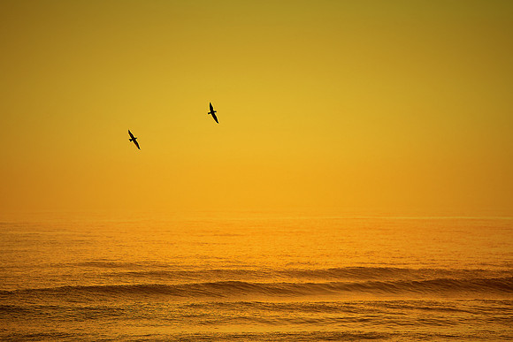 Sunrise, Atlantic coast, Palm Coast, FL