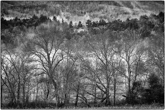 Cades Cove, Great Smokey  Mountain National Park, TN