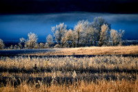2015 Dec - Cades Cove, GSMNP, TN