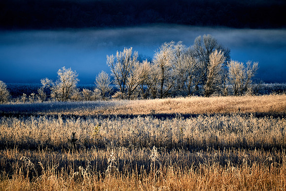 Sunrise at Cades Cove, Great Smokey  Mountain National Park, TN
