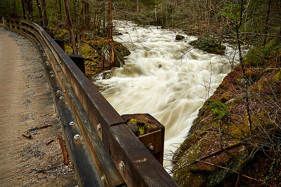 Middle Prong Little River, Great Smokey  Mountain National Park, TN