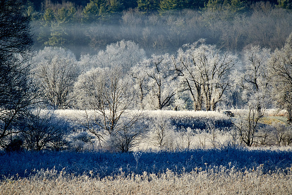 Sunrise at Cades Cove, Great Smokey  Mountain National Park, TN