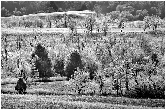 Sunrise at Cades Cove, Great Smokey  Mountain National Park, TN