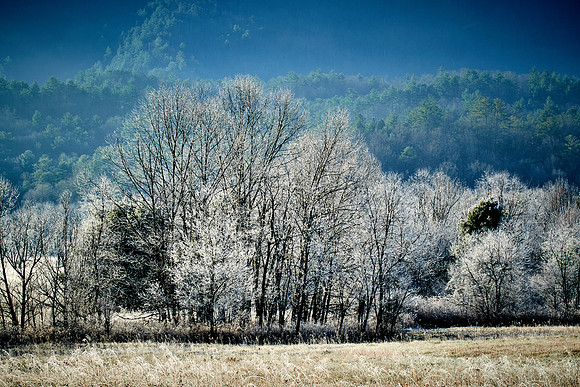 Sunrise at Cades Cove, Great Smokey  Mountain National Park, TN