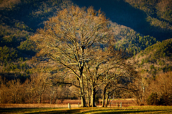 Cades Cove, Great Smokey  Mountain National Park, TN