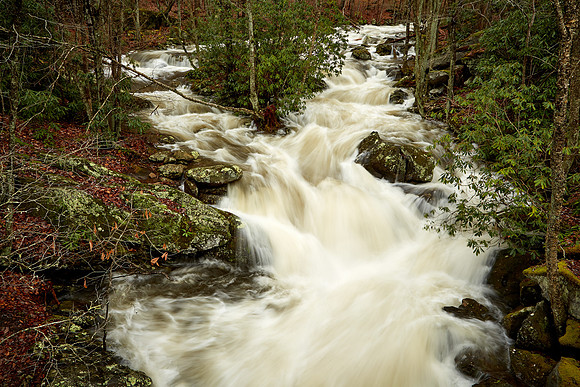 Middle Prong Little River, Great Smokey  Mountain National Park, TN