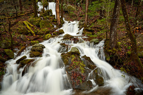 Middle Prong Little River, Great Smokey  Mountain National Park, TN