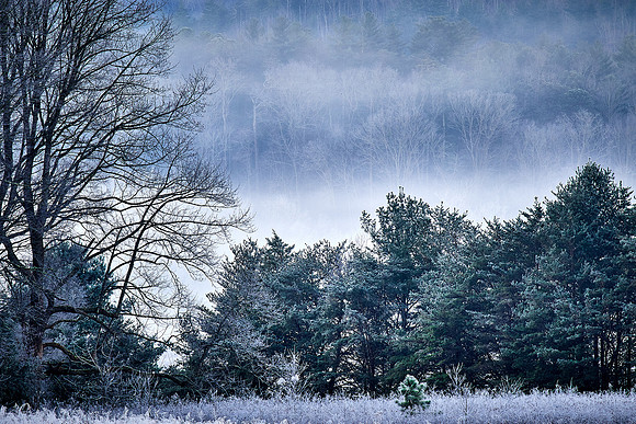 Sunrise at Cades Cove, Great Smokey  Mountain National Park, TN