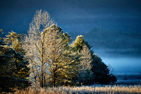 Sunrise at Cades Cove, Great Smokey  Mountain National Park, TN