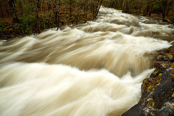 Middle Prong Little River, Great Smokey  Mountain National Park, TN