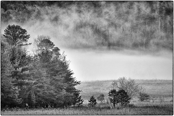 Cades Cove, Great Smokey  Mountain National Park, TN