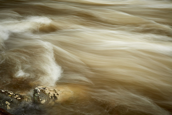 Middle Prong Little River, Great Smokey  Mountain National Park, TN
