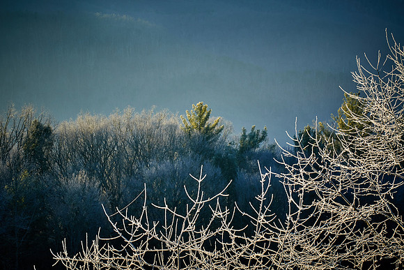 Sunrise at Cades Cove, Great Smokey  Mountain National Park, TN