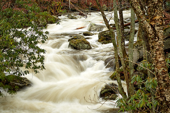Middle Prong Little River, Great Smokey  Mountain National Park, TN