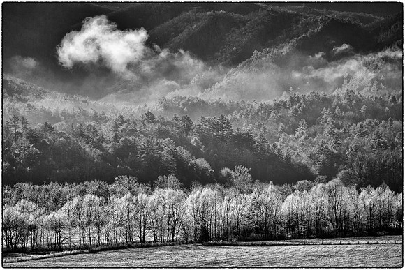 Sunrise at Cades Cove, Great Smokey  Mountain National Park, TN