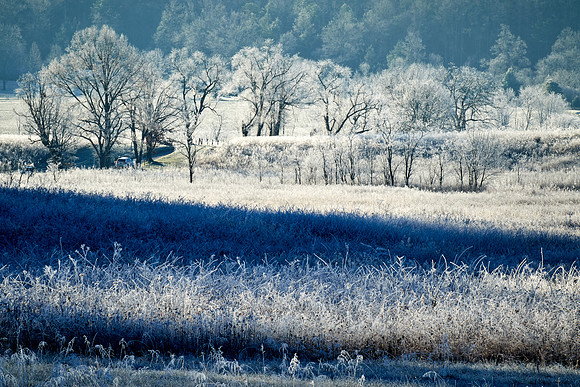 Sunrise at Cades Cove, Great Smokey  Mountain National Park, TN