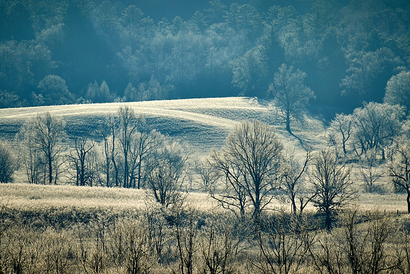 Sunrise at Cades Cove, Great Smokey  Mountain National Park, TN