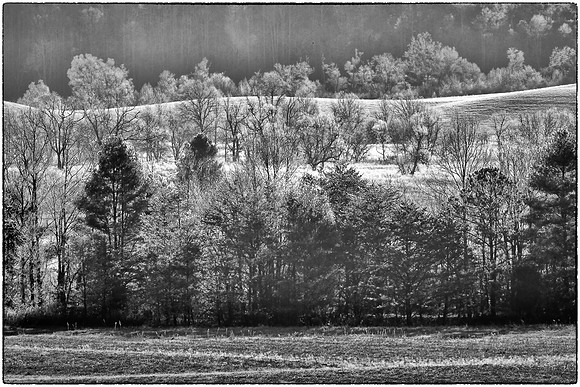 Sunrise at Cades Cove, Great Smokey  Mountain National Park, TN