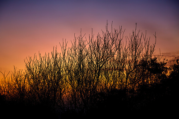 Sunrise, Atlantic coast, Palm Coast, FL
