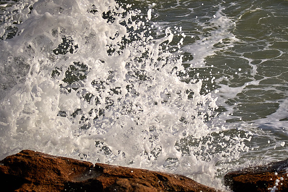 Atlantic coast, Palm Coast, FL