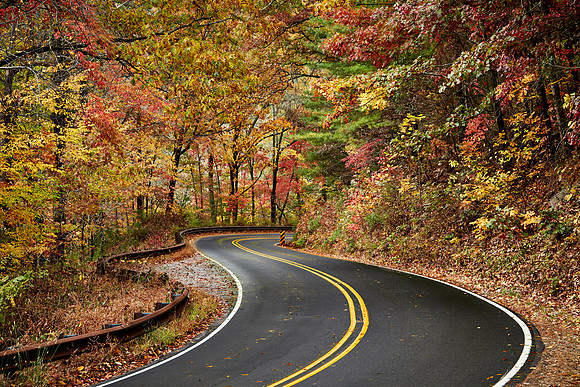 Fall color, Hwy 64 near Highlands, NC