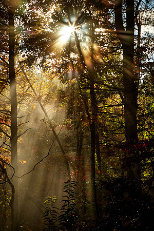 Crepuscular rays, Hwy 64 near Highlands, NC